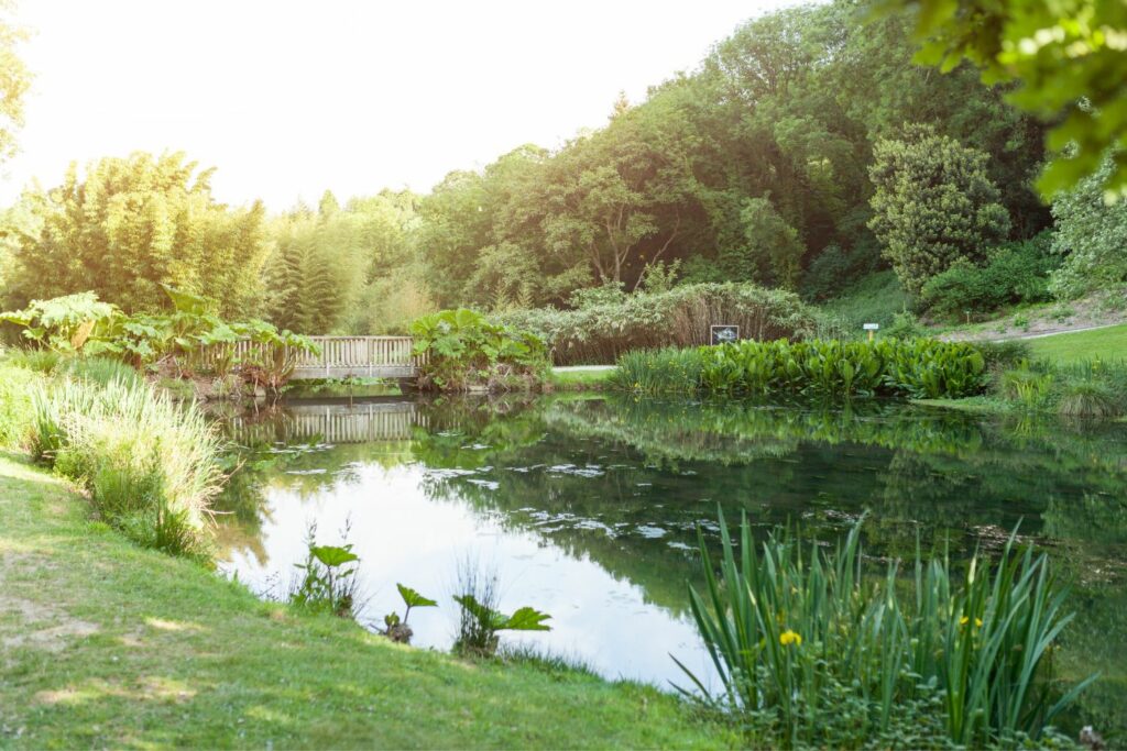 Destination-hotel-ibis-styles-budget-brest-centre-port2 Le Vallon du Stang Alar à Brest